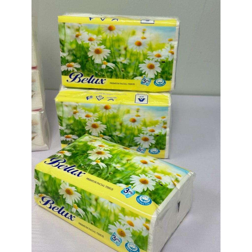 Belux Facial Tissue Soft Paper Packet | 100% Virgin Pulp 3ply 12 pack | 20 packs GREEN