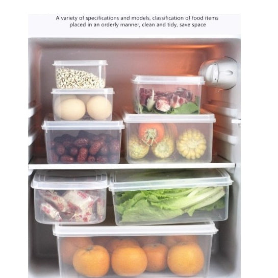 Disposable Plastic Food Container | Takeaway Lunch Box | Food Storage Box | BPA Free