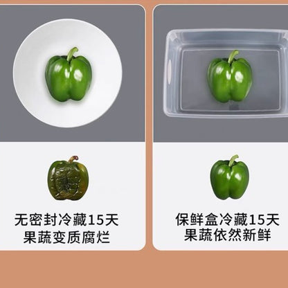 Transparent multi-purpose storage box | storage container | storage box | food container | Food grade Big Size