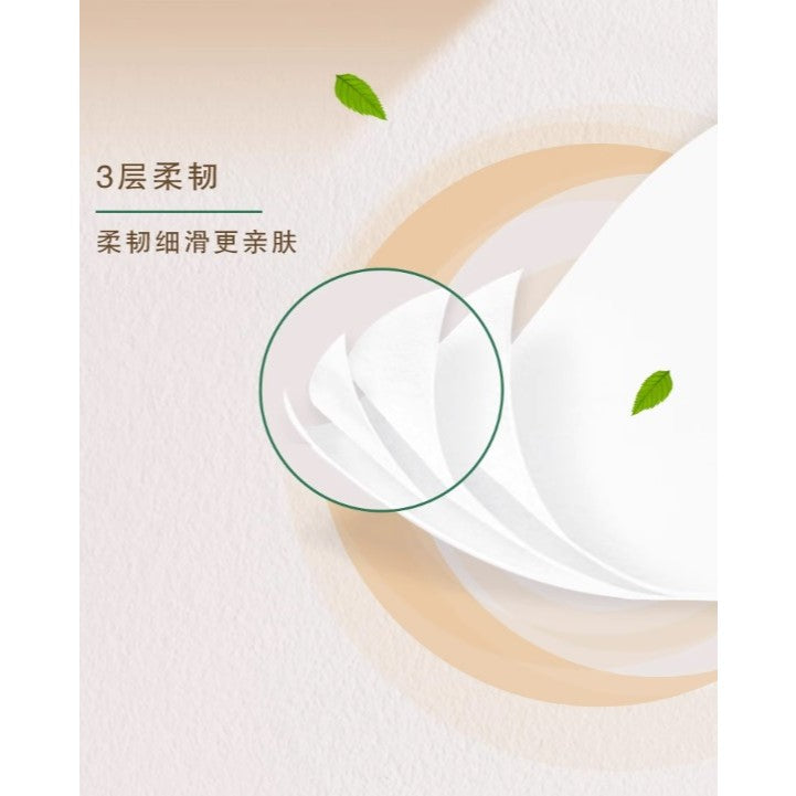 Toilet Rolls Toilet Paper 3-ply100% virgin wood pulp清风3层无香原木卷纸 10 Rolls | Set