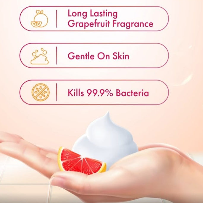 Anti Bacterial Liquid Handwash Soap Lavender | Aloe | Lemon | 500ml